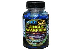 Jungle Warfare