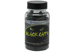 Black Cats