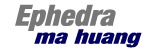 Ephedra