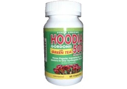 South African Hoodia Gordonii 500 Complex (60 ct)