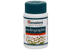 Andrographis