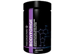 BodyForge