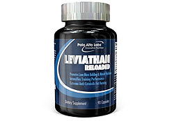 Leviathan Reloaded