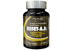 Reset-A.D. DISCONTINUED