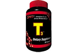 T3