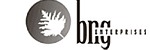 BNG Enterprises