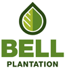 Bell Plantation